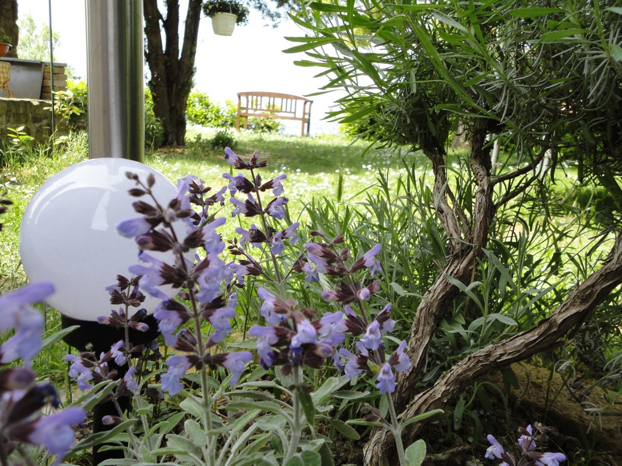 Apartments Ritosa イゾラ エクステリア 写真